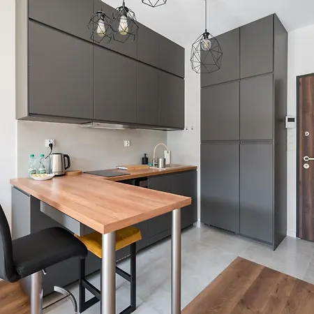 Wilanow Holzera Modern Warschau